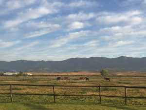 My mother's paddocks at Normandy Stud are on Arabella. From 18 March this will be the race village for three nights.